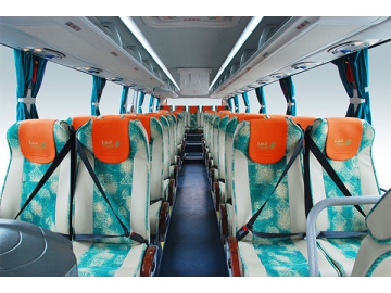 Autobús turístico 6858H (Sparkling)