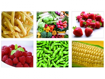 Sistema de congelación de frutas y verduras