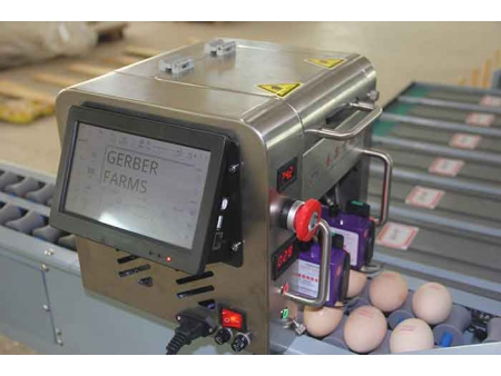 Clasificadora de huevos 101B (4000 HUEVOS/HORA)