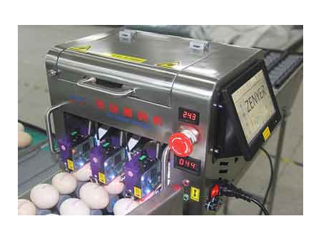 Clasificadora de huevos 102A (5400 huevos/hora)