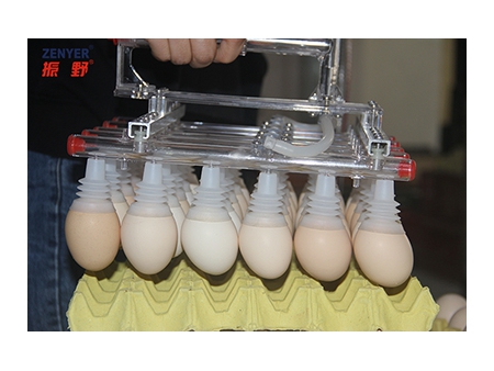 Elevador de huevos mediante vacío 602