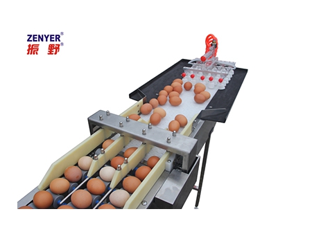 Acumulador de huevos 604A
