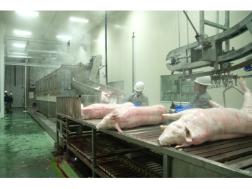 Planta Procesadora de Carne de Cerdo para Chaishan Foods