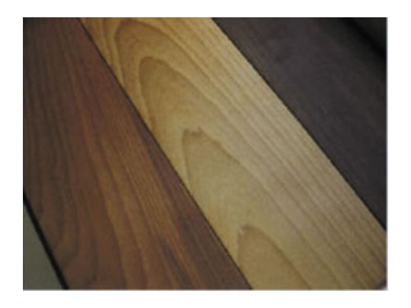 Horno de modificación térmica  (Secado de madera y modificación térmica)