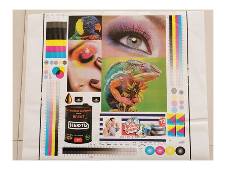 Impresora flexográfica de 6 colores