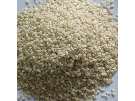 Tostador automático de tambor rotativo