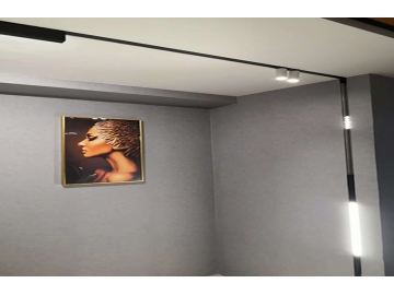 Kit de Riel de Iluminación LED Serie P, Sistema de Iluminación de Inducción Magnética