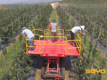 Plataforma de cosecha de frutales con vehículo de baja velocidad