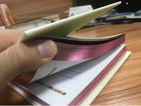 Prensa de pinzado/prensa de libros XHZS390