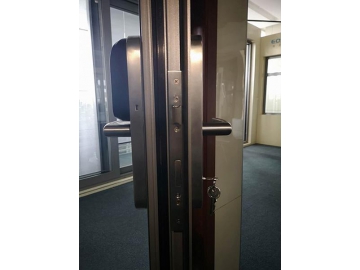 Puerta abatible ES61, con cerradura digital