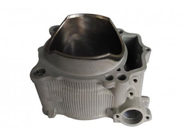 Cilindro, cuatriciclo YMH WR450F