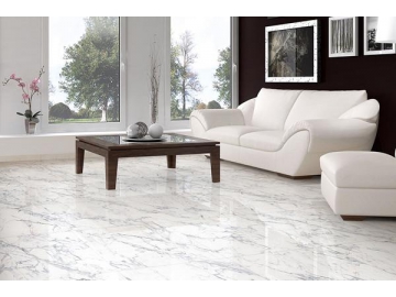 Baldosas de porcelana efecto mármol Nuevo Bianco Carrara (Baldosas para piso de porcelana, baldosa para interiores y exteriores) Baldosas de porcelana efecto mármol Nuevo Bianco Carrara (Baldosas para piso de porcelana, baldosa para interiores y exteriores)