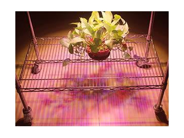 Luz LED COB para cultivo