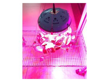 Luz LED para cultivo con forma de plato volador