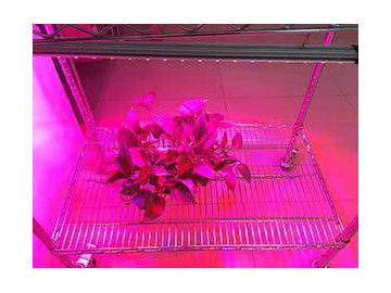 Luz LED para cultivo lineal