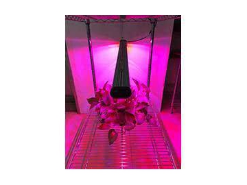 Luz LED para cultivo lineal