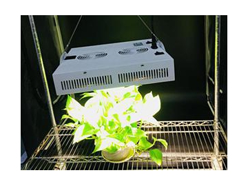 Luz LED UV IR para cultivo