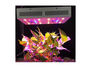 Luz LED UV IR para cultivo