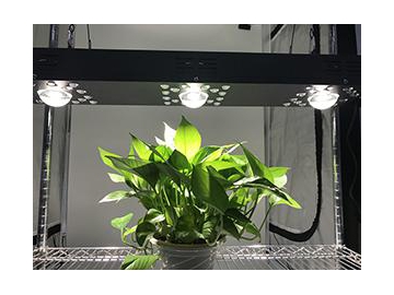 Luz LED roja y azul para cultivo