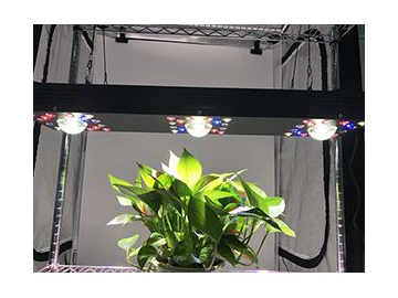 Luz LED roja y azul para cultivo
