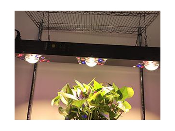 Luz LED roja y azul para cultivo
