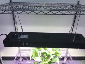 Luz LED roja y azul para cultivo