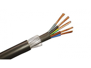 Cable multipolar blindado CU/PVC/PVC/SWA/PVC/0.61kV