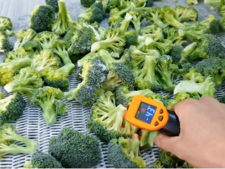 Túnel de congelación de 2 toneladas para brócoli y col en China