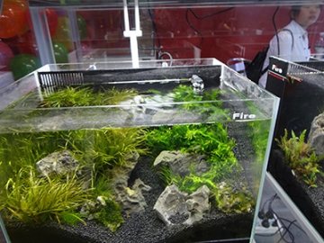 Máquina de Grabado Láser 3D/2D; Grabadora Láser 3D/2D