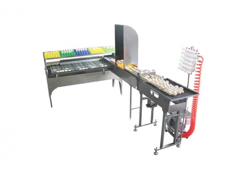 Clasificadora de huevos 102BS (5400 huevos/hora)