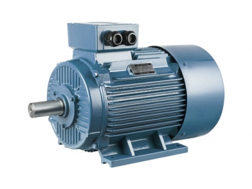 Motor asíncrono trifásico de alta eficiencia, Serie YE2/YE3