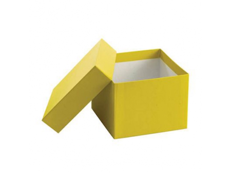 Encoladora, con Alimentador de Papel