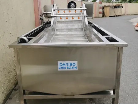 Lavadora de burbujas para vegetales (tipo transportador), DRB-QX3000