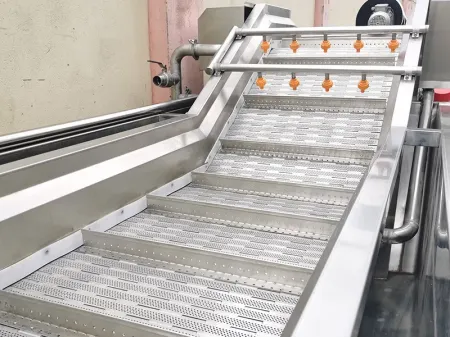 Lavadora de burbujas para vegetales (tipo transportador), DRB-QX3000