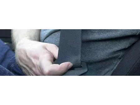 Cinta/correa de seguridad