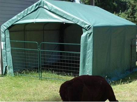 Naves para caballos / Carpas para caballos