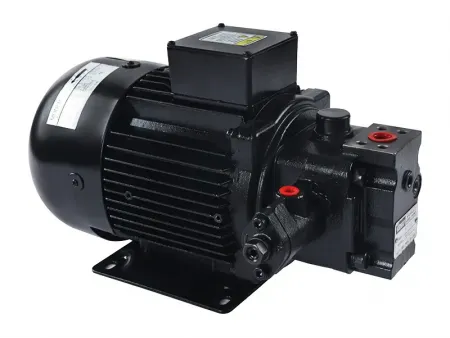 Conjuntos de bomba y motor   (Unidad de bomba/motor de paletas)