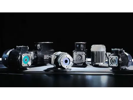 Motores eléctricos de eje hueco para bombas hidráulicas Motores eléctricos de eje hueco para bombas hidráulicas