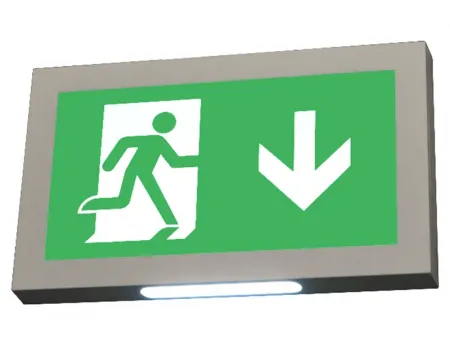 Señal de salida de emergencia LED de instalación múltiple con carcasa plástica, LE2915 Señal de salida de emergencia LED de instalación múltiple con carcasa plástica, LE2915