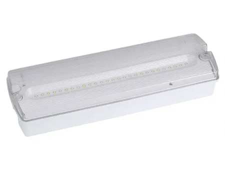 Luz de emergencia LED estanca IP65, AD500 Luz de emergencia LED estanca IP65, AD500