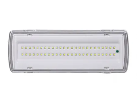 Luz de emergencia LED estanca (50 LED SMD2835), LE507L-50