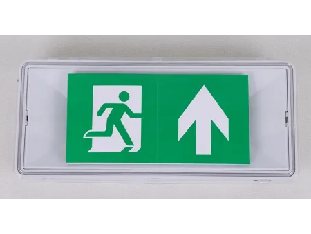 Señal de salida de emergencia LED estanca e impermeable (11 LED SMD2835), LE515-11