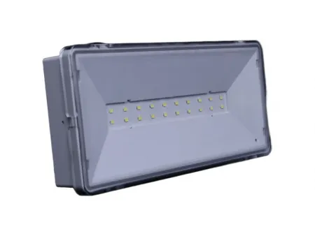 Señal de salida de emergencia LED estanca e impermeable (20 LED SMD2835), LE517