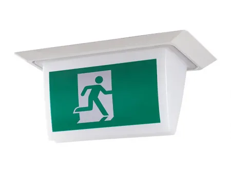 Señal de salida de emergencia LED estanca e impermeable (20 LED SMD2835), LE518 Señal de salida de emergencia LED estanca e impermeable (20 LED SMD2835), LE518