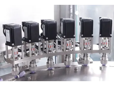 Máquina de llenado y taponado de bolsas con boquilla (con spout)